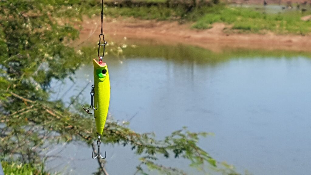 spinnerbait