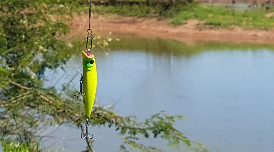 spinnerbait